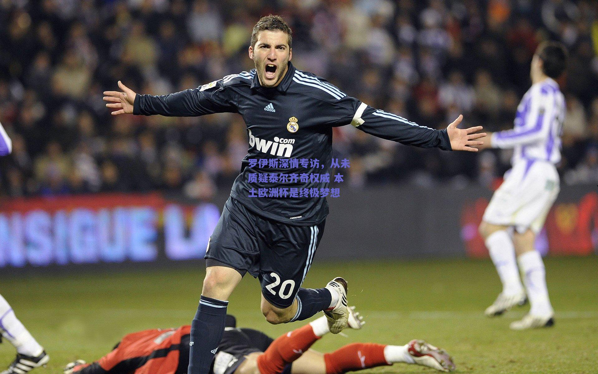 罗伊斯深情专访，从未质疑泰尔齐奇权威 本土欧洲杯是终极梦想